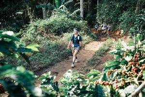 BIB: 
                            <button type="button" onclick="openModal(25855285)" class="btn btn-primary btn-sm float-right btn-popup" data-toggle="modal" data-target=".modal-high-quality">
                        <i class="fas fa-shopping-cart"></i> Add to Cart
                    </button>
                                            <button type="button" onclick="isThisMe(25855285, true)" class="btn btn-success btn-sm float-right btn-popup btn-isme hidden" data-toggle="tooltip" data-placement="bottom" title="นี่คือรูปของคุณใช่ไหม คลิกที่นี่เพื่อเอาเข้าอัลบั้ม">
                        <i class="fas fa-plus"></i> Add to album
                    </button>
                    <button type="button" onclick="isThisMe(25855285, false)" class="btn btn-warning btn-sm float-right btn-popup btn-isnotme hidden">
                        <i class="fas fa-ban"></i> Remove from album
                    </button>